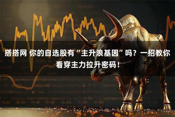 搭搭网 你的自选股有“主升浪基因”吗？一招教你看穿主力拉升密码！