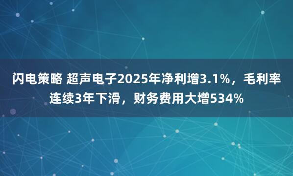 闪电策略 超声电子2025年净利增3.1%，毛利率连续3年下滑，财务费用大增534%