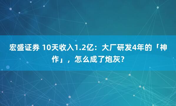 宏盛证券 10天收入1.2亿：大厂研发4年的「神作」，怎么成了炮灰？